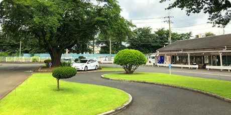 所沢中央自動車教習所