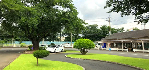 所沢中央自動車教習所